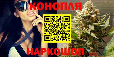 амф Дубна