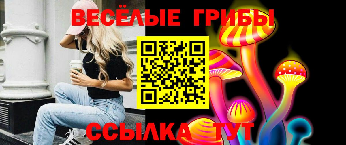 Мариинск  Галлюциногенные грибы прущие грибы  купить   Вход с VPN 